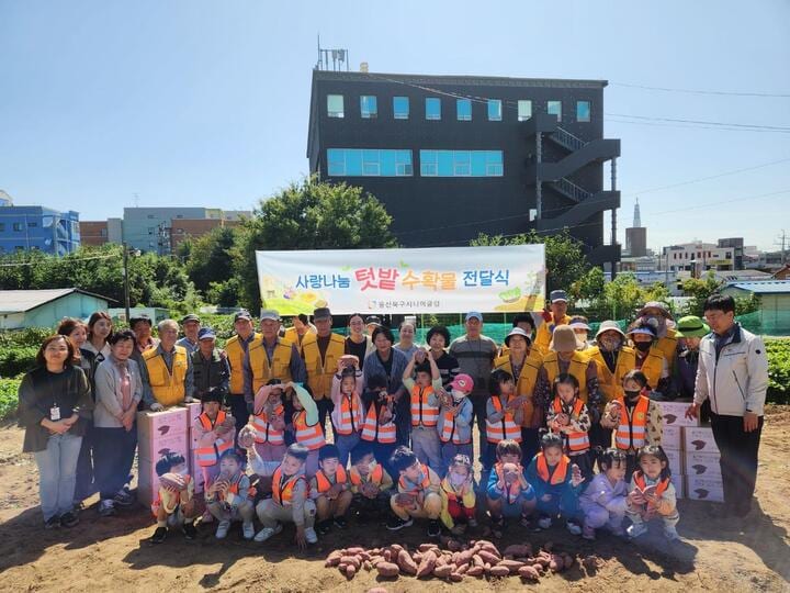 울산북구시니어클럽, '사랑나눔텃밭' 고구마 수확·나눔행사