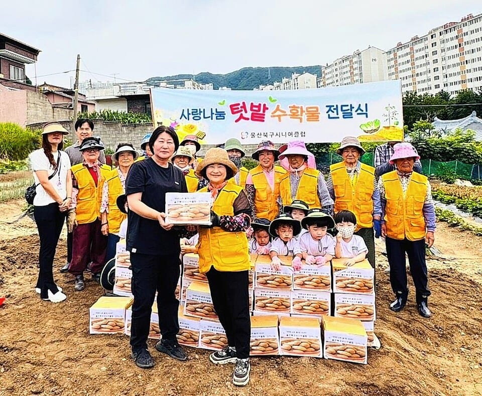 울산북구시니어클럽, 어린이집과 아동과 감자캐기 체험